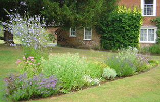 Austen back garden
